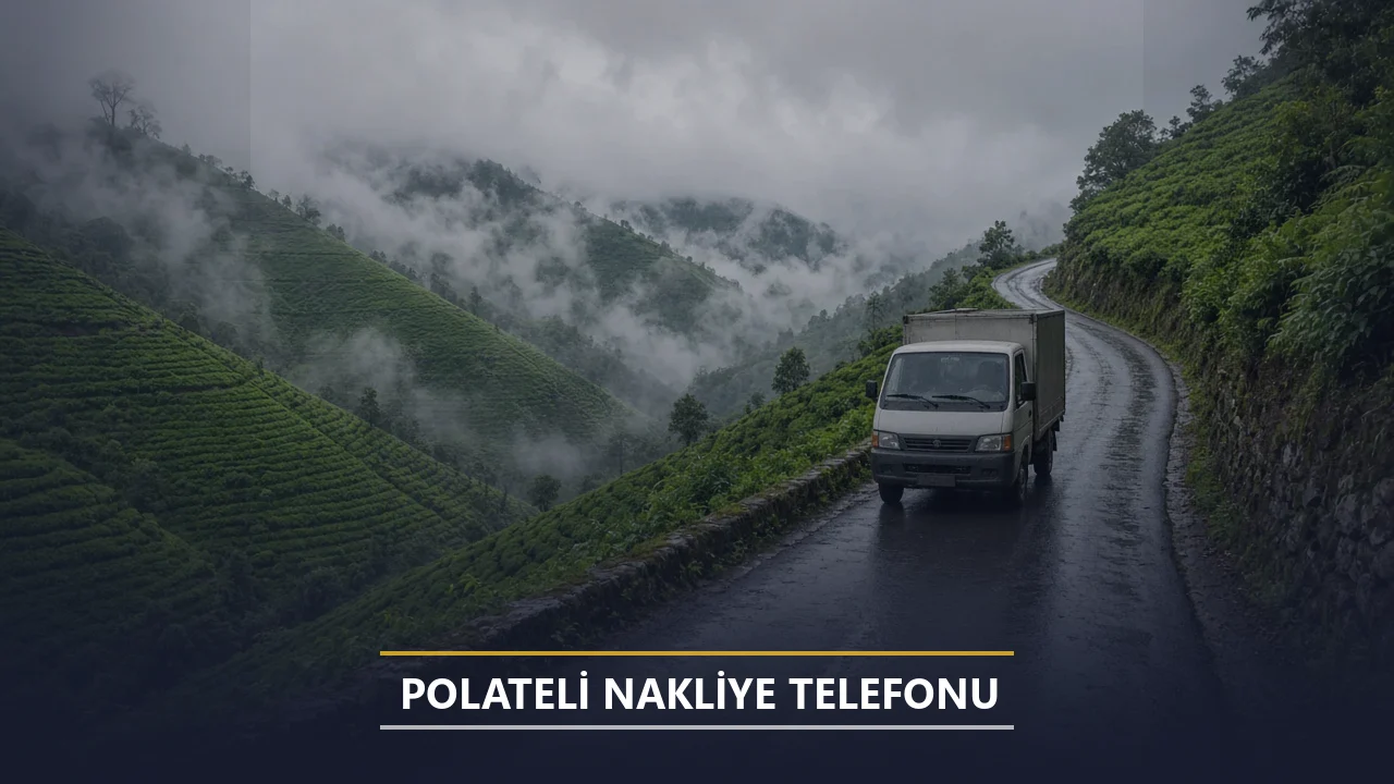 Polateli Nakliye Telefonu